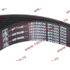 Ремень 8PK1050 водяного насоса ручейковый H3 HOWO (ХОВО) VG2600020253 фото 2 Дзержинск