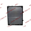Радиатор WP12 SH SHAANXI / Shacman (ШАНКСИ / Шакман) DZ95259532203 фото 2 Дзержинск