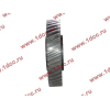 Шестерня привода распредвала промежуточная WD615/WP10 HOWO (ХОВО) VG1560050053/61560050053 фото 3 Дзержинск