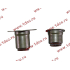 Колпачок маслосъемный WP10E4 (612600040444) комплект на ДВС SHAANXI / Shacman (ШАНКСИ / Шакман) LEO100201A фото 3 Дзержинск